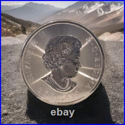 2019 Canada $2 Polar Bear 1/2 oz. 9999 Fine Silver Coin Royal Canadian Mint