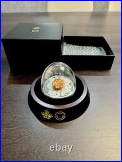 2019 Canada $50 The Bumble Bee & The Bloom Yellow & Rose Gold Plated Silver Coin 2019 Canada $50 The Bumble Bee & The Bloom Yellow & Rose Gold Plated Silver Coin