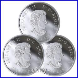 2019 Celebrating Canadian Fun and Festivities Pure Silver 12 Coin Set