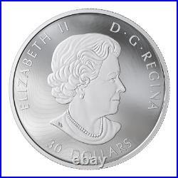 2019 Two Ounce $30 Majestic Birds in Motion Holographic Canada Geese Silver Coin 2019 Two Ounce $30 Majestic Birds in Motion Holographic Canada Geese Silver Coin