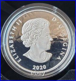 2020 CANADA $25 Multifaceted Animal Head GRIZZLY BEAR. 9999 Fine Silver Coin