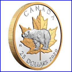 2020 Canada $25 Fine Silver Coin Piedfort Timeless Icons Polar Bear