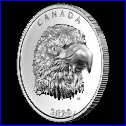 2020 Canada $25 Proud Bald Eagle High Relief pure silver coin in stock