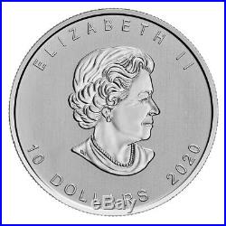 2020 Canada Canadian Goose 2 oz Silver $10 Coin GEM BU Delay SKU60773