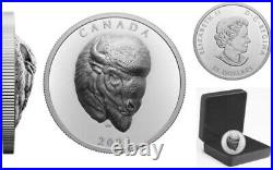 2021'Bold Bison EHR' $25 Fine Silver Coin (RCM 201002) (20224)