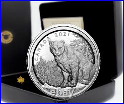 2021 Canada $50 Multilayered Cougar 3D pure silver Coin. 9999 Low Mintage 1,500