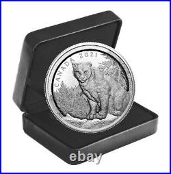 2021 Canada $50 Multilayered Cougar 3D pure silver coin low mintage