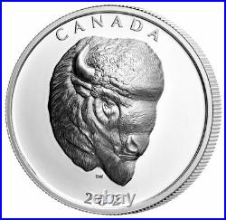 2021 Canada Buffalo Extraordinary High Relief 1 oz Silver Proof $25 Coin OGP