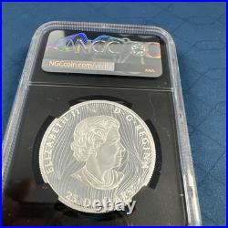 2021 Canada Silver $25 Buffalo Extraordinary High Relief NGC PF70 Signed FDOI