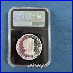 2021 Canada Silver $25 Buffalo Extraordinary High Relief NGC PF70 Signed FDOI