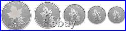 2022 A Radiant Crown Maple Leaf Fractional Set 5-Coins Silver Proof Queen Canada