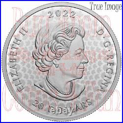 2022 Black History Underground Railroad $20 Proof Pure Silver Coin Canada