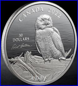 2022 CANADA $30 SNOWY OWL on Driftwood Bateman Signed 2oz. 9999 Pure Silver Coin