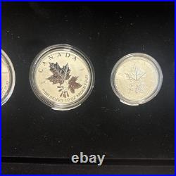 2022 CANADA Fractional 5 coin set 99.99% silver- A Radiant Crown