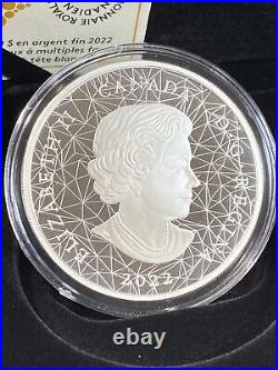 2022 Canada 30$ 50mm 9999 Multifaceted Animal Family Bald Eagle Proof Coin