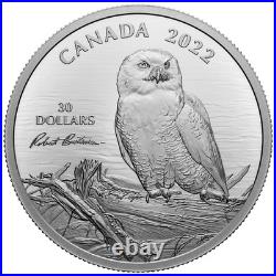 2022 Canada $30 Snowy Owl on Driftwood Robert Bateman Two Ounce Fine Silver Coin