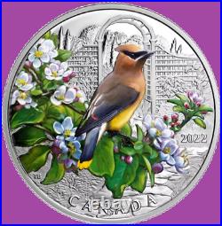 2022 Canada Colourful Birds Cedar Waxwing Proof Silver $20 Coin Mint Set UNC