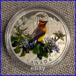 2022 Canada Colourful Birds Cedar Waxwing Pure Silver Coin with Colour