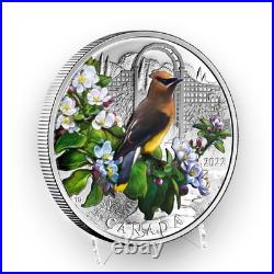 2022 Colourful Birds Cedar Waxwing 1oz. 9999 Silver $20 Mintage 7500