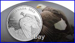 2023 CANADA $30 Vantage Point BALD EAGLE by Robert Bateman 2oz. 9999 Silver Coin