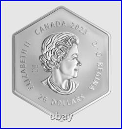 2023 Canada Hexagon Snowflake With Clear Crystal $20 99.99% Pure Silver Coin 2023 Canada Hexagon Snowflake With Clear Crystal $20 99.99% Pure Silver Coin