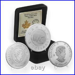 2023 W Mint Mark Polar Bear 1oz. 9999 Silver $2 Specimen RCM Canada