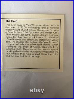 2024 $20 Fine Silver coins super incuse 1 oz