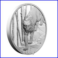 2024 Canada $20 Great Hunters Cougar UHR Silver Coin with BONUS Cougar Stamp 2024 Canada $20 Great Hunters Cougar UHR Silver Coin with BONUS Cougar Stamp