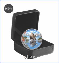 2024 Canada $20 Moose Wildlife Reflections Coloured coin 99.99% Silver 1 oz