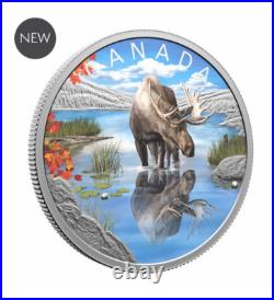 2024 Canada $20 Moose Wildlife Reflections Coloured coin 99.99% Silver 1 oz