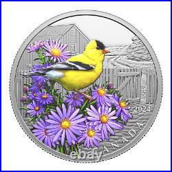 2024 Canada Colorful Birds American Goldfinch 1 oz Silver Proof Coin