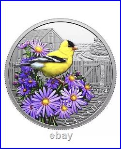 2024 Canada Colourful Birds American Goldfinch- 1oz Pure Silver Proof $20 Coin