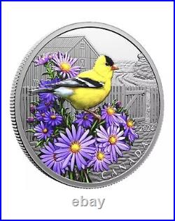 2024 Canada Colourful Birds American Goldfinch- 1oz Pure Silver Proof $20 Coin