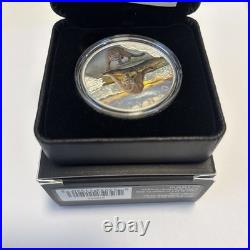2024 Canada Wildlife Reflections Cougar $20 99.99% Pure Silver Coin