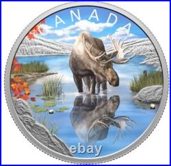 2024 Canada Wildlife Reflections Moose $20 99.99% Pure Silver Coin In Stock 2024 Canada Wildlife Reflections Moose $20 99.99% Pure Silver Coin In Stock