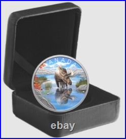 2024 Canada Wildlife Reflections Moose $20 99.99% Pure Silver Coin In Stock 2024 Canada Wildlife Reflections Moose $20 99.99% Pure Silver Coin In Stock