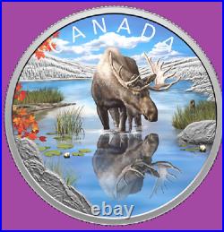 2024 Canada Wildlife Reflections Moose Proof Silver $20 Coin Mint Set UNC