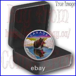 2024 Wildlife Reflections #1 Grizzly Bear $20 Pure Silver Proof Coin Canada