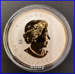 2025 1 Oz. 9999 Silver Gold Gilt Maple Leaf Ultra-High Relief Beautiful