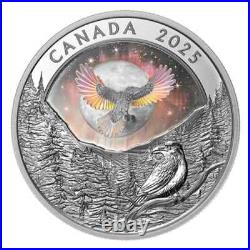 2025 $20 Moon Sky Raven Holographic Pure Silver Coin Canada 2025 $20 Moon Sky Raven Holographic Pure Silver Coin Canada
