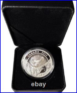 2025 $20 Moon Sky Raven Holographic Pure Silver Coin Canada 2025 $20 Moon Sky Raven Holographic Pure Silver Coin Canada