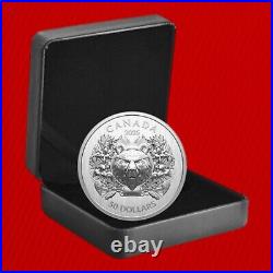 2025 CANADA HEARALDIC BEAR 70gms Pure Silver EHR/UHR Coin