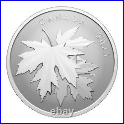 2025 Canada $10 Fine Silver Coin Gleaming Maple Leaves
