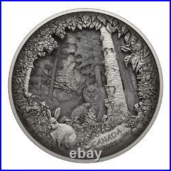 2025 Canada $175 Predator or Prey In Shadow Box 23.75 oz Fine Silver Coin