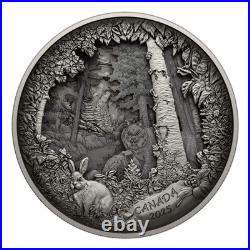 2025 Canada $175 Predator or Prey Shadow Box 23.75 oz Fine Silver Coin + Bonus