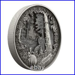 2025 Canada $175 Predator or Prey Shadow Box 23.75 oz Fine Silver Coin + Bonus