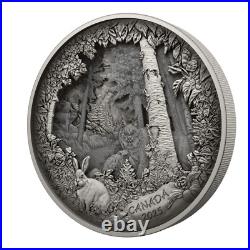 2025 Canada $175 Predator or Prey Shadow Box 23.75 oz Fine Silver Coin + Bonus