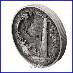 2025 Canada $175 Predator or Prey Shadow Box 23.75 oz Fine Silver Coin + Bonus