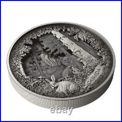 2025 Canada $175 Predator or Prey Shadow Box 23.75 oz Fine Silver Coin + Bonus