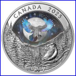 2025 Canada $20 Moon Sky Raven Holographic Fine Silver Coin